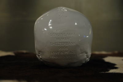 �V�F���^�[�o���N�@�I���W�i���@�g�C�@�h�N���@�q���[�}���@���@�摜�@��